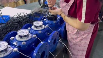 linshui product video31