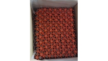 packing in carton 16*25 cooler pump magnet molded