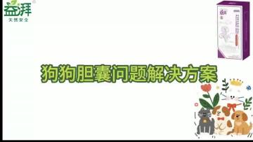 Pet Gallbladder Supplements dog