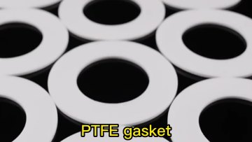 High Quality Oil Resistance PTFE Seal Gasket1