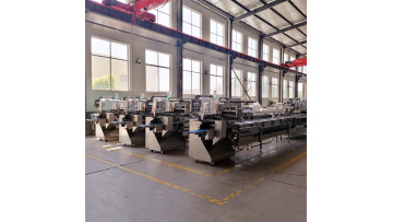 rotary packing machine