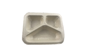 Latest Design Biodegradable Disposable Sugarcane Bagasse Food Container1