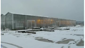 Commercial low cost custom size turnkey multi-span polycarbonate sheet hydroponics system greenhouse for flower1