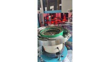 High Precision Optical Sorting Machine for Hardware Fasteners