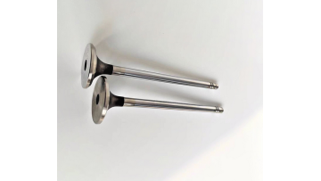 OEM Intake valve Exhaust valve