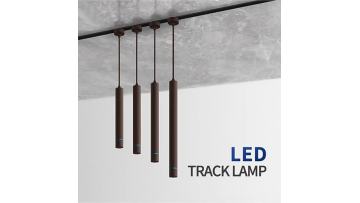 Indoor Ceiling Track Lamp Led Linear Pendant light