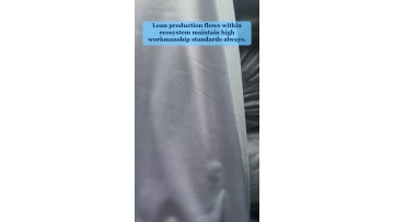 Video 19