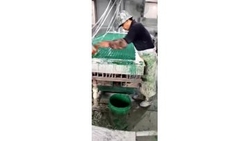 38*38mm FRP Molded Grating Machine FRP Grating Production Line1