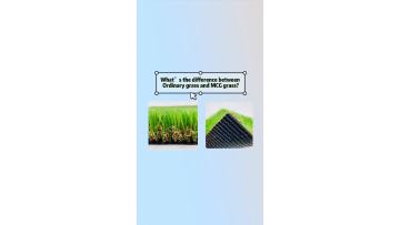 Landscape grass compare