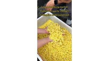 Large potato dicing machine