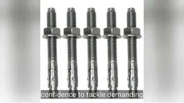 304 Stainless Steel/Carbon Steel Wedge Anchor Bolt Customized1