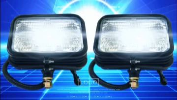 Work light illumination lamp (10)