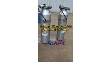Stainless Steel Submersible Fountain Pump