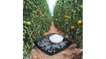 Factory Direct Superabsorbent Polymer Potassium Polyacrylate for Vegetable & Tomato Gardening1