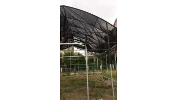 greenhouse