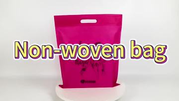 Non Woven Shopping Bag