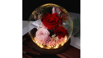 2025 Valentine's Day Gifts: LED Glass Cover Real Rose Preserved Eternal Flowers1