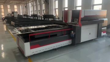 AL - 600 w single head laser cutting machine