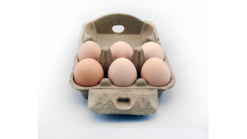 Custom printing logo half dozen 6 cells black biodegradable egg storage box1