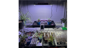 AGLEX LED Grow Light for Indoor Plants