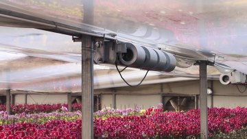 multi span venlo type farming greenhouse for flowers vegetable rose orchid1