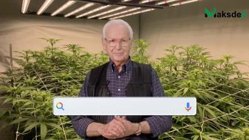 Maksdep Grow Light INTRODUCTION