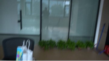 Other Surface Protective Film