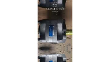 VOITH High-pressure internal gear pumps IPVS6-64 101
