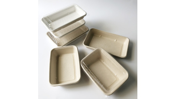 bagasse rectangle tray 10324