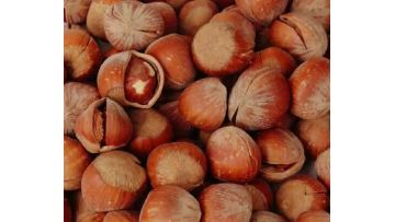 Delicious Wild Natural Flavor Hazelnuts