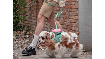 film blowing on dog poop bags