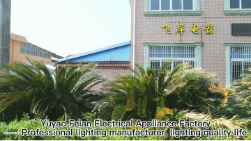Universal Video with Caption