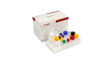 Precision and Speed: The Accurate and Rapid Enrofloxacin ELISA Test Kit for Milk Diagnosis1