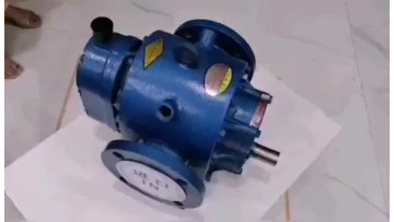 High viscosity - resistant rotor pump, sugar pump, thermal insulation rotor pump1