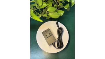 Output 12V DC 5 Amperes  Wall Plug Adapter