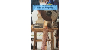 Video 7