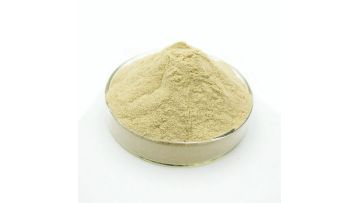 food additive sodium alginate