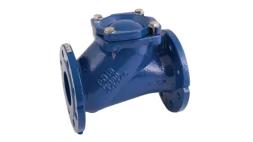 DN50 Flanged End Ball Check Valves Ggg 40/501
