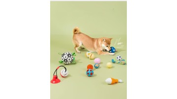 Dog Ball Toy