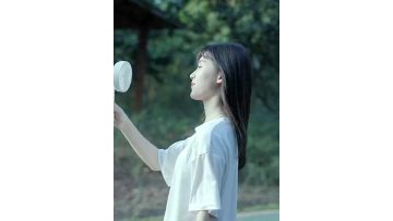 GXZ-F1010 三脚架风扇
