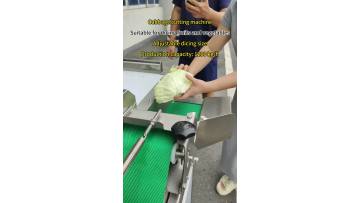cabbage cutting machine