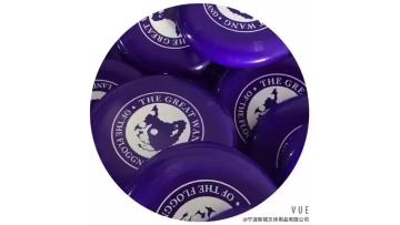 Customized Logo Toy Throw and Catch Flying Disc Golf1