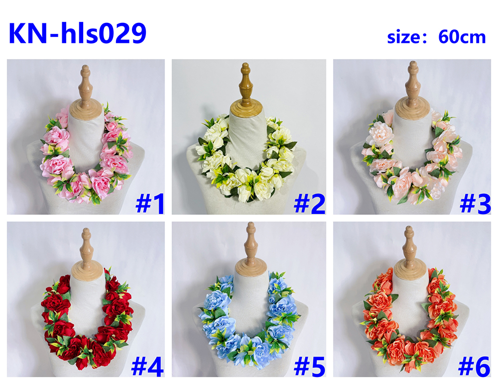 Kn Hls029