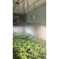 SamsungLM301B Board Led Grow Light For indoor Plants