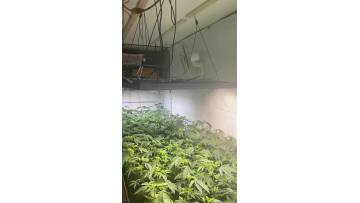 WENYI Best Quality Full Spectrum Grow Lights 640W