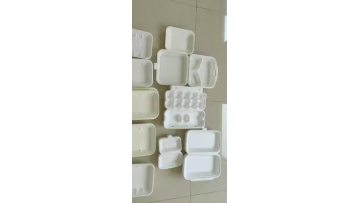 Polystyrene PS foam food box plate bowl dish1