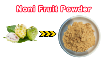 noni fruit powder
