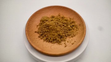 Gymnema sylvestre extract