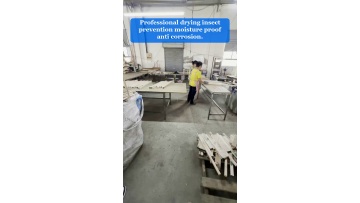 Video 3