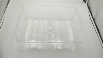 PET food container